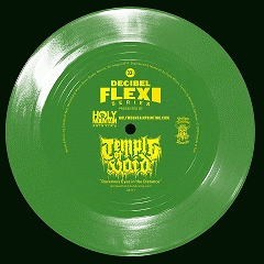 Temple Of Void : Ravenous Eyes in the Distance